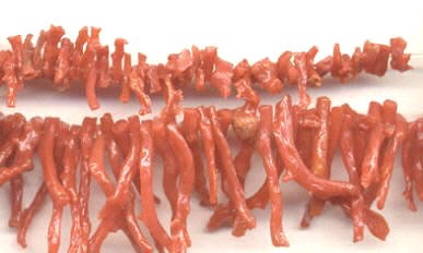 Angel Skin Branch Coral Necklace